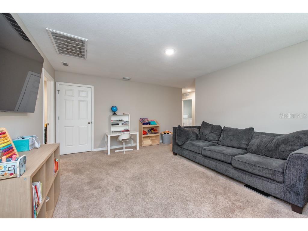 14617 Brumby Ridge Avenue Lithia FL 33547 TB8453951 image16