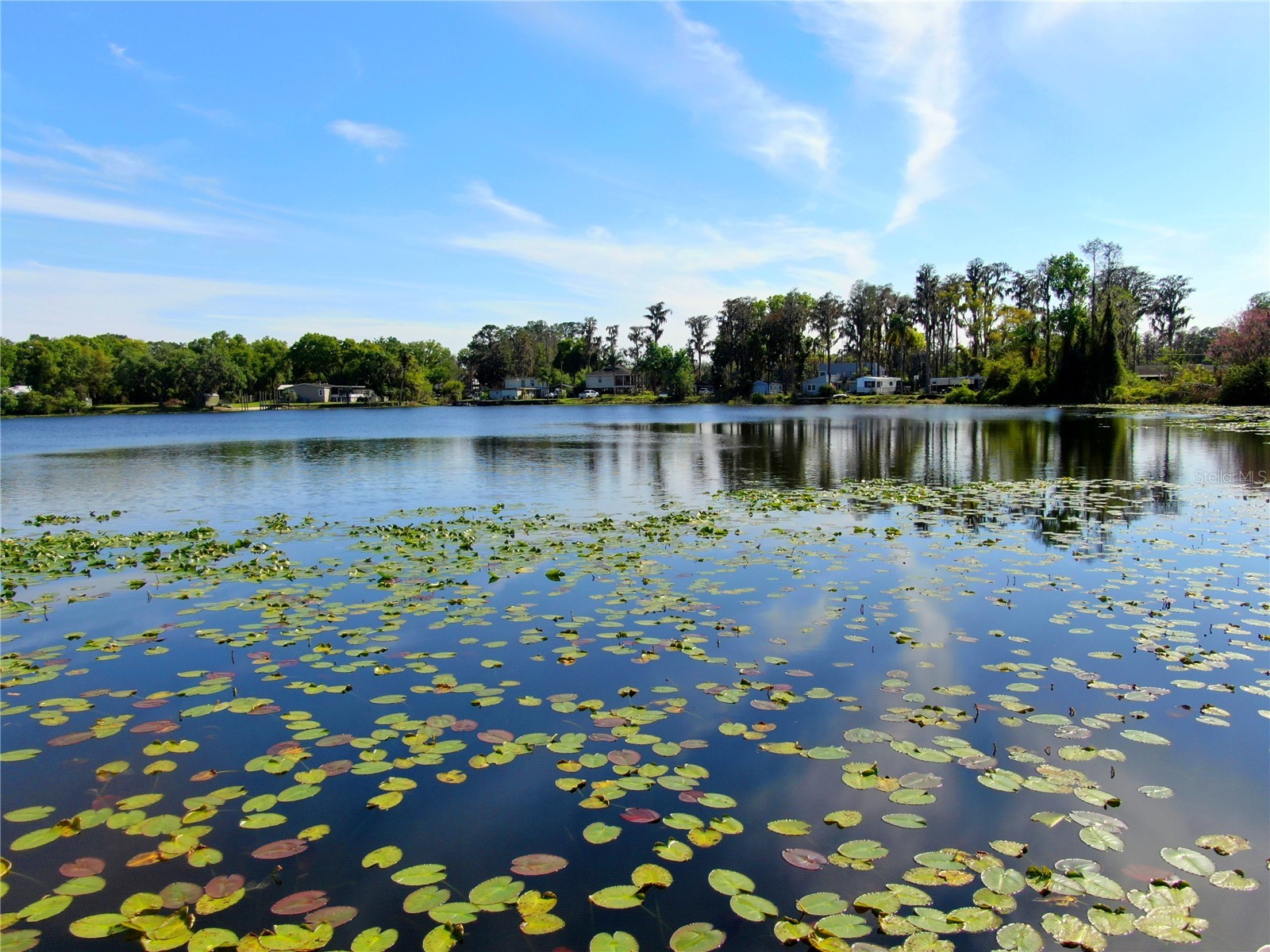 14618 Geneva Drive Odessa FL 33556 - LAKE GENEVA & LAKE MINEOLA TB8488007 image20