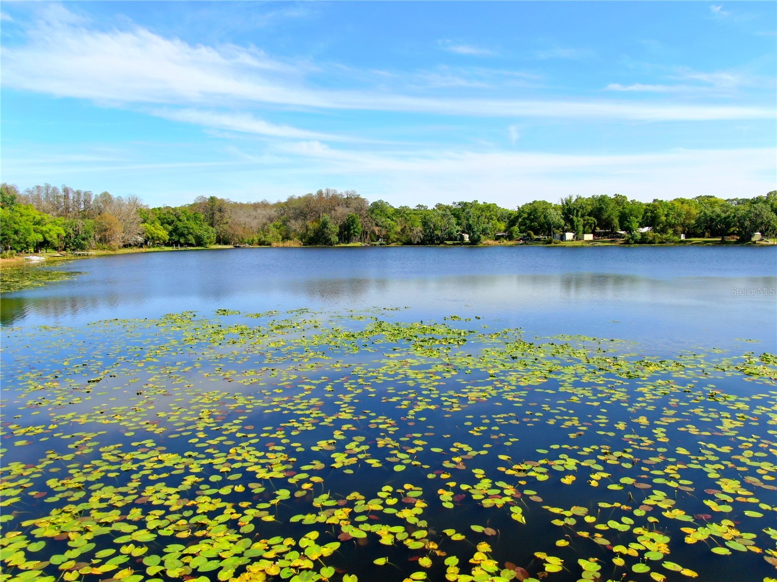 14618 Geneva Drive Odessa FL 33556 - LAKE GENEVA & LAKE MINEOLA TB8488007 image21