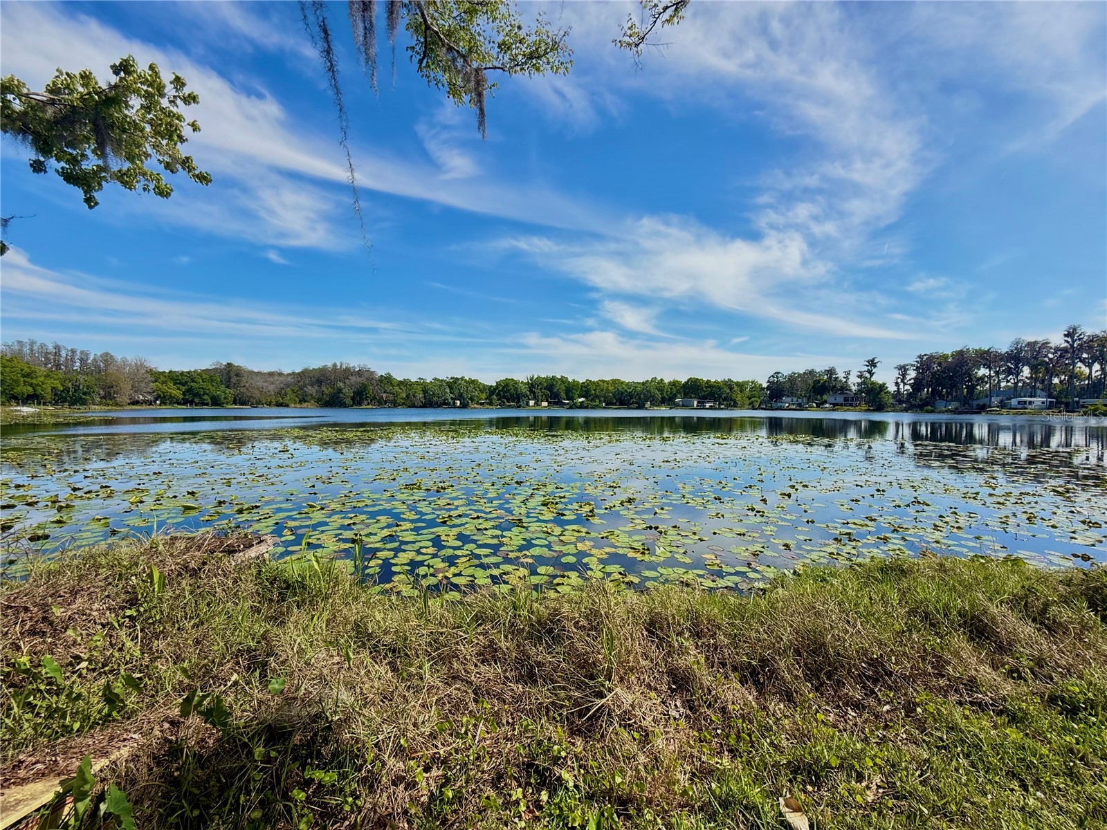 14618 Geneva Drive Odessa FL 33556 - LAKE GENEVA & LAKE MINEOLA TB8488007 image4