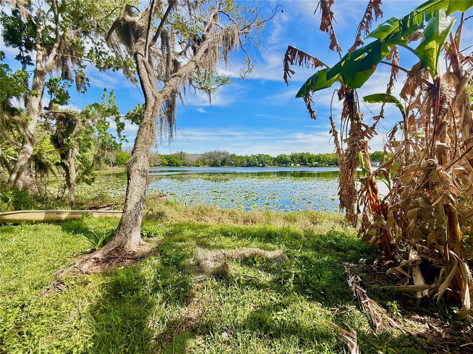 14618 Geneva Drive Odessa FL 33556 - LAKE GENEVA & LAKE MINEOLA TB8488007 image5