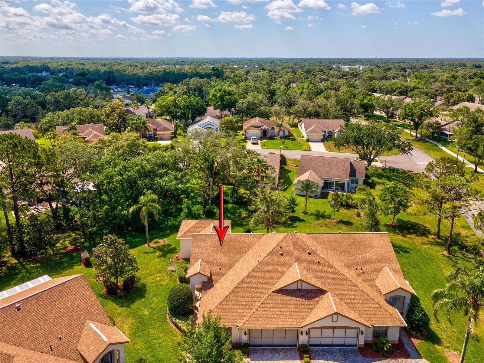 1462 Shady Brook Court Spring Hill FL 34606 W7885561 image52