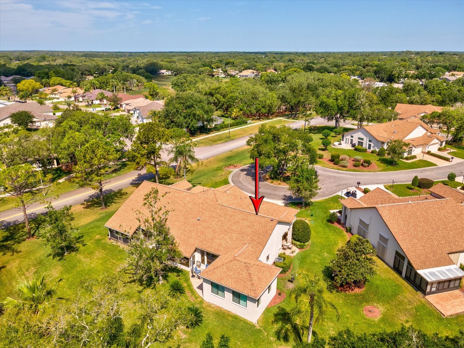 1462 Shady Brook Court Spring Hill FL 34606 W7885561 image60