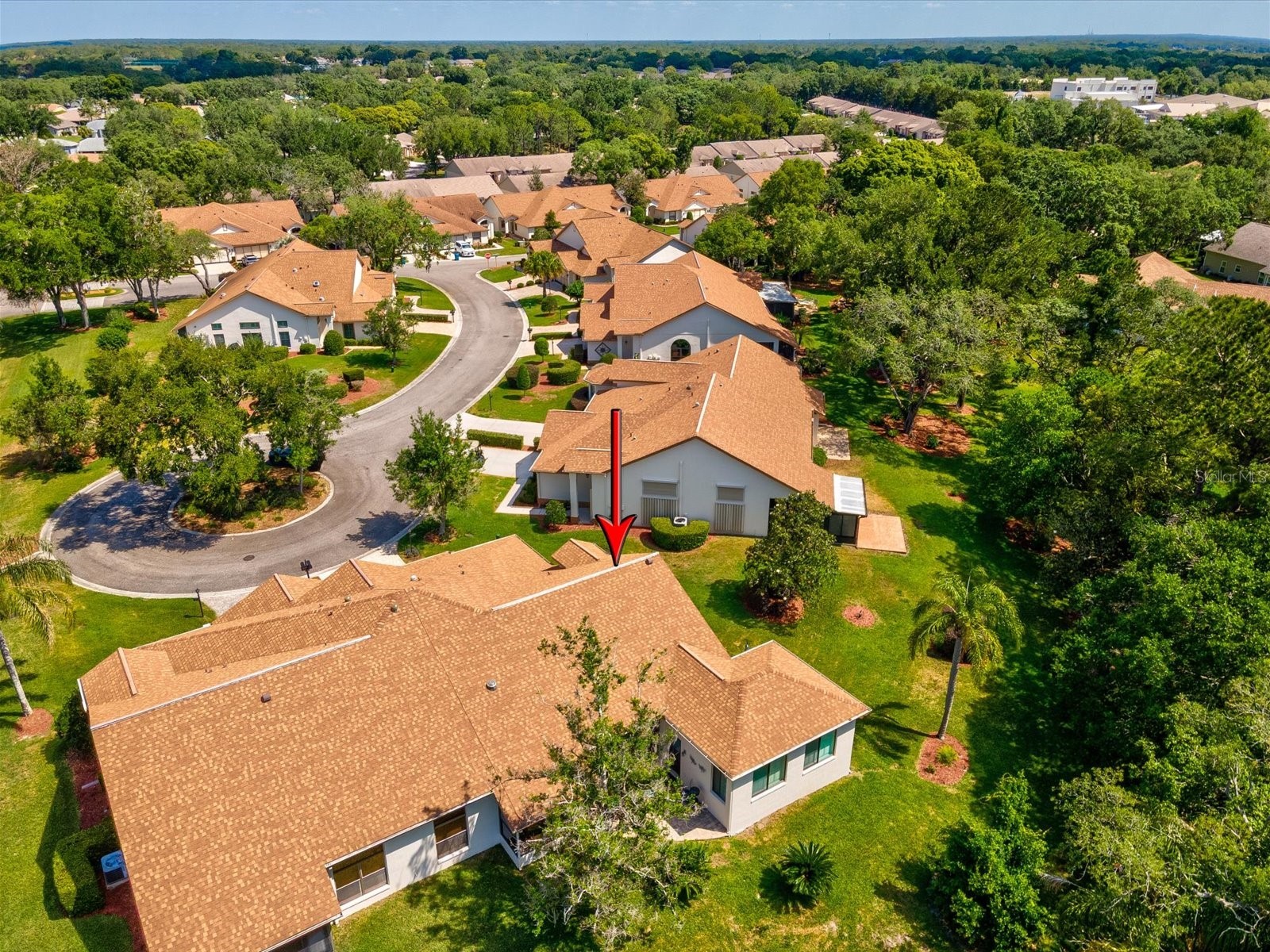 1462 Shady Brook Court Spring Hill FL 34606 W7885561 image62