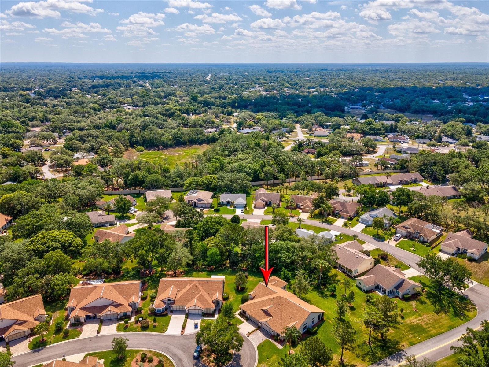 1462 Shady Brook Court Spring Hill FL 34606 W7885561 image64