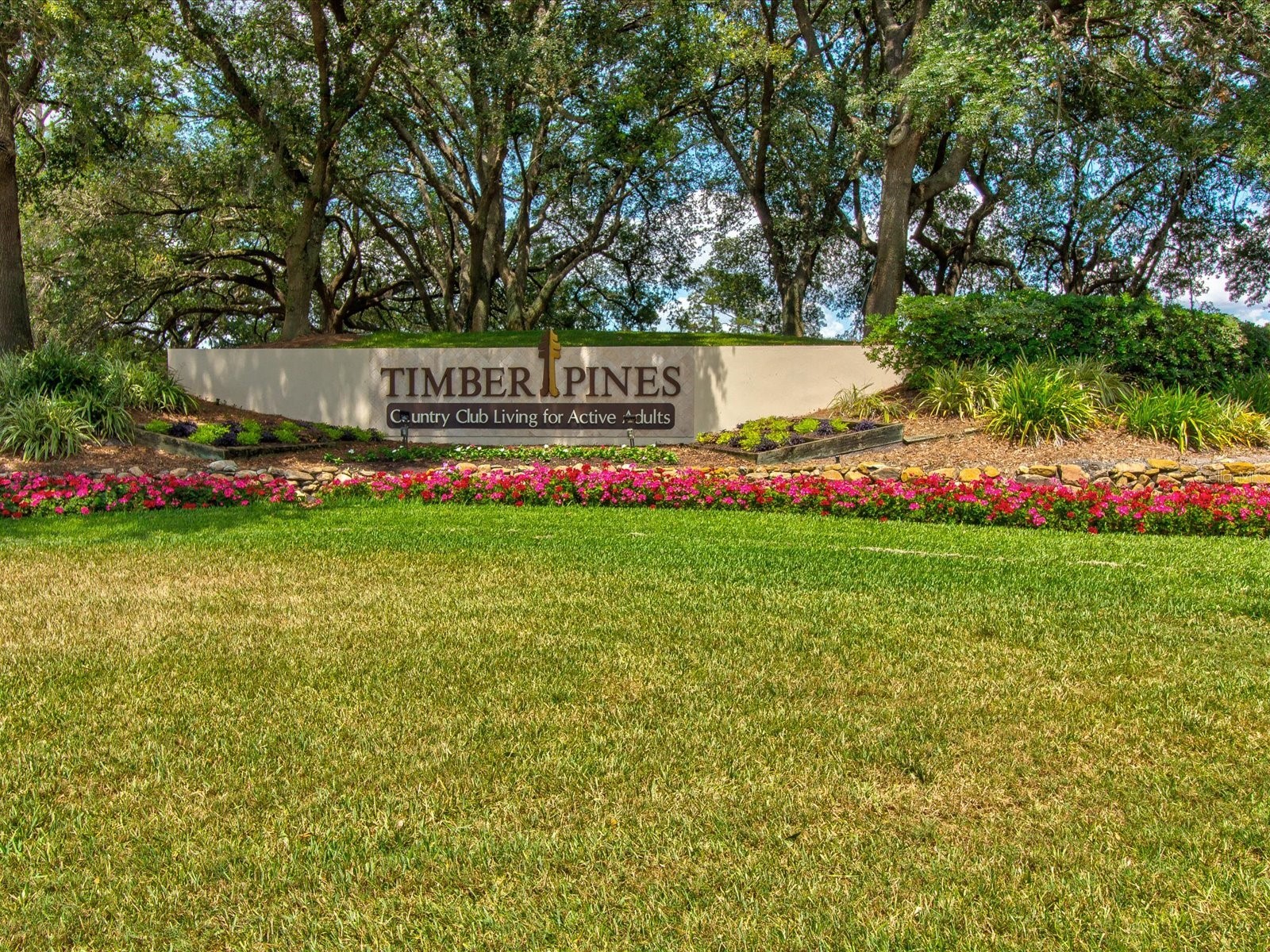 1462 Shady Brook Court Spring Hill FL 34606 W7885561 image65