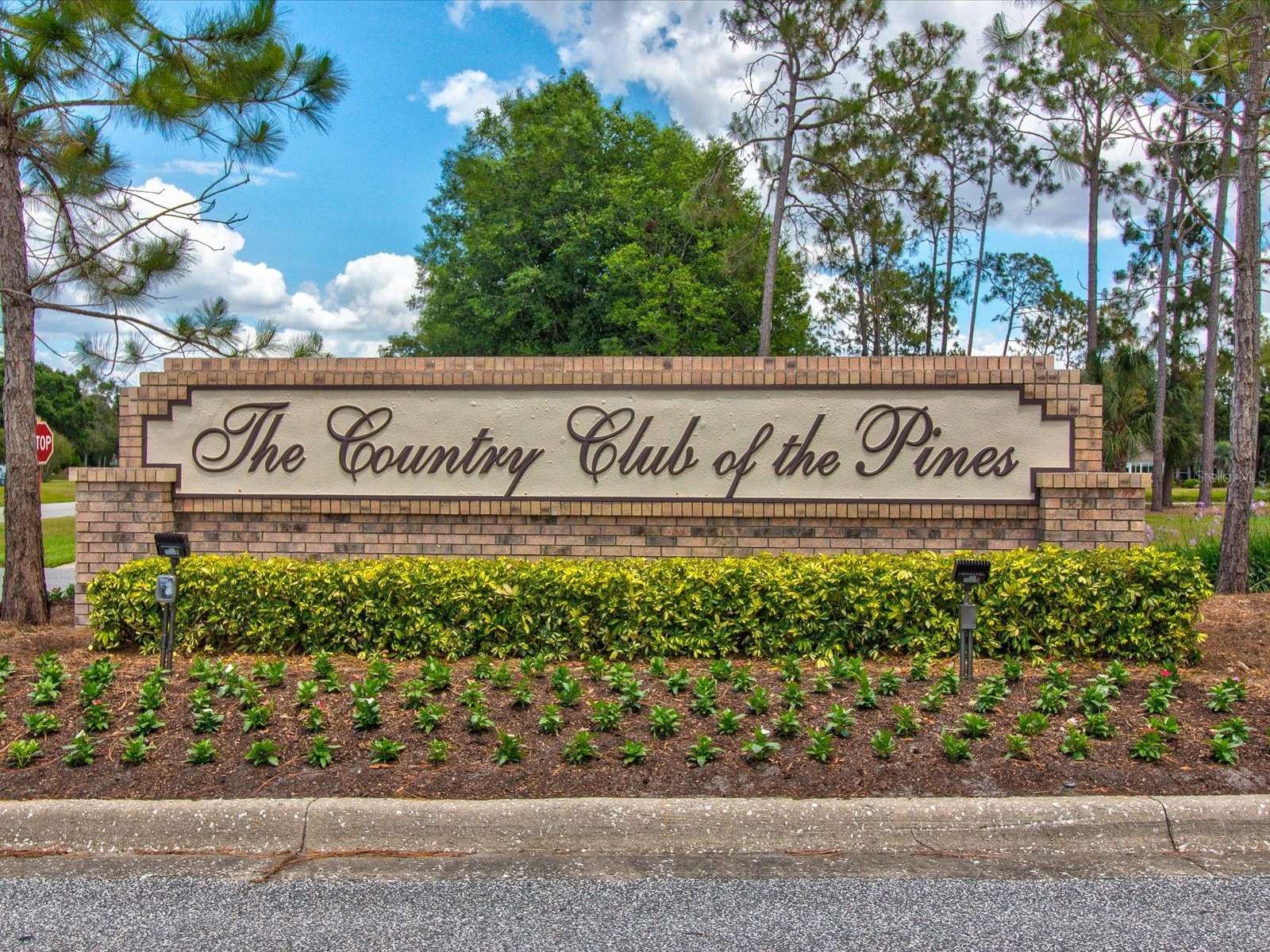 1462 Shady Brook Court Spring Hill FL 34606 W7885561 image88