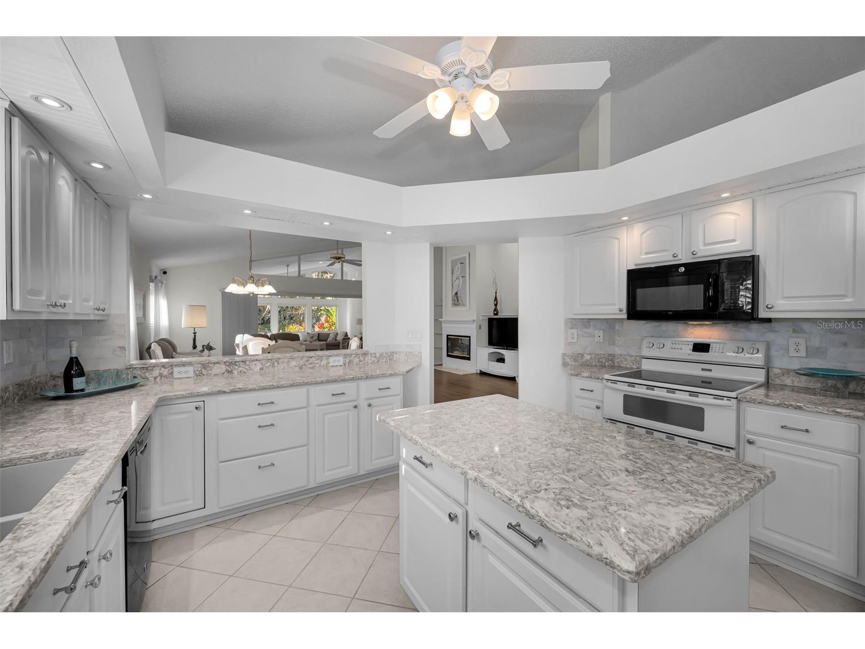 1462 Woodstream Drive Oldsmar FL 34677 TB8469868 image10