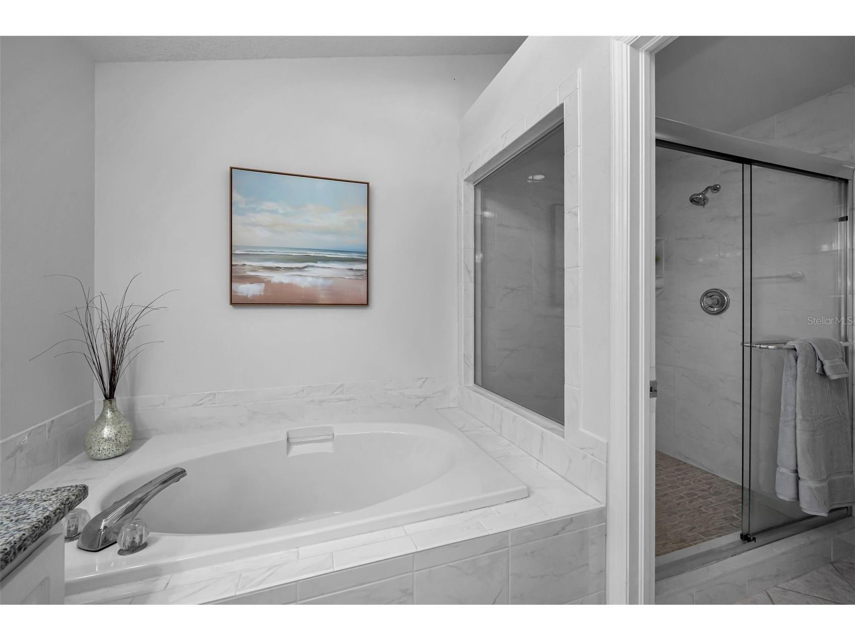 1462 Woodstream Drive Oldsmar FL 34677 TB8469868 image17