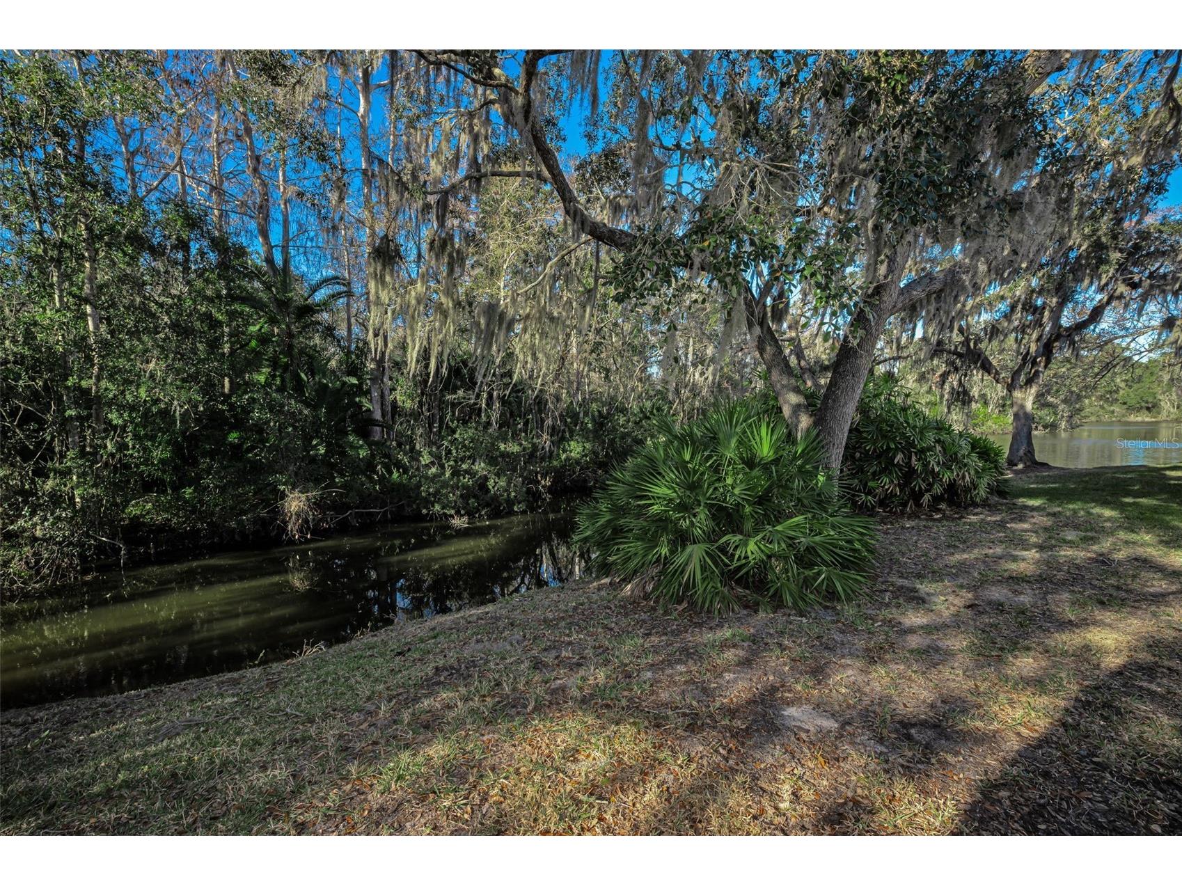 1462 Woodstream Drive Oldsmar FL 34677 TB8469868 image23