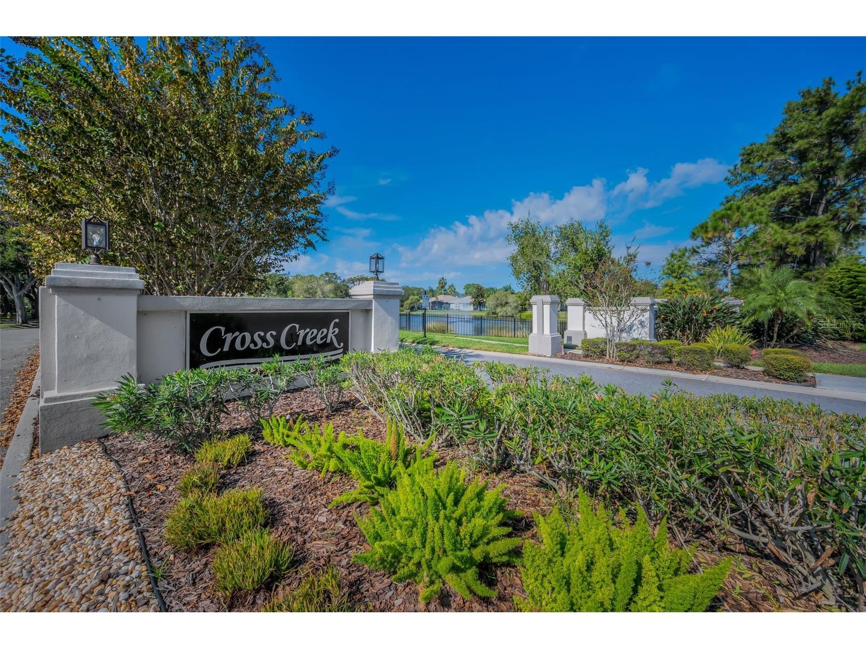 1462 Woodstream Drive Oldsmar FL 34677 TB8469868 image25