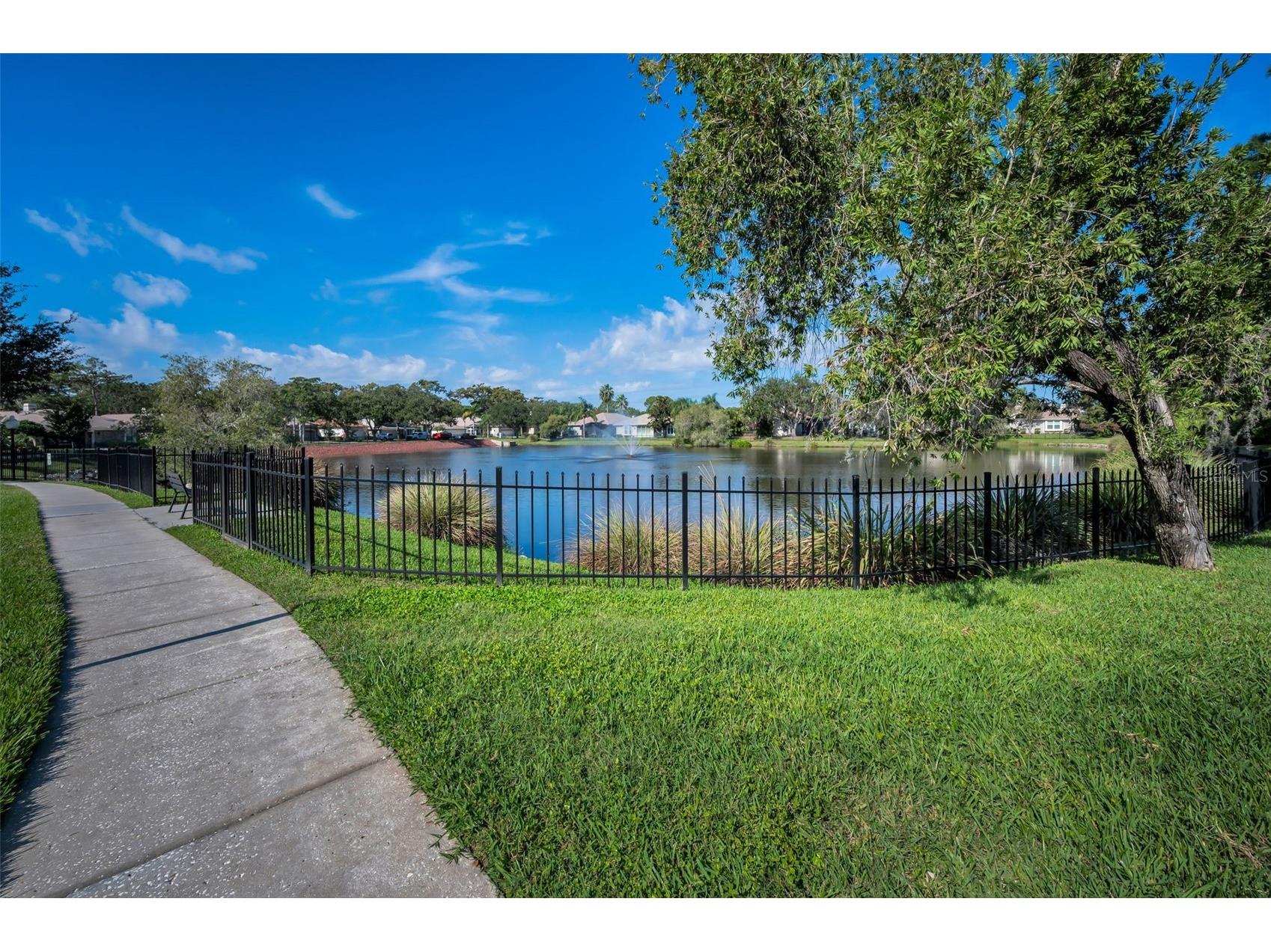 1462 Woodstream Drive Oldsmar FL 34677 TB8469868 image26