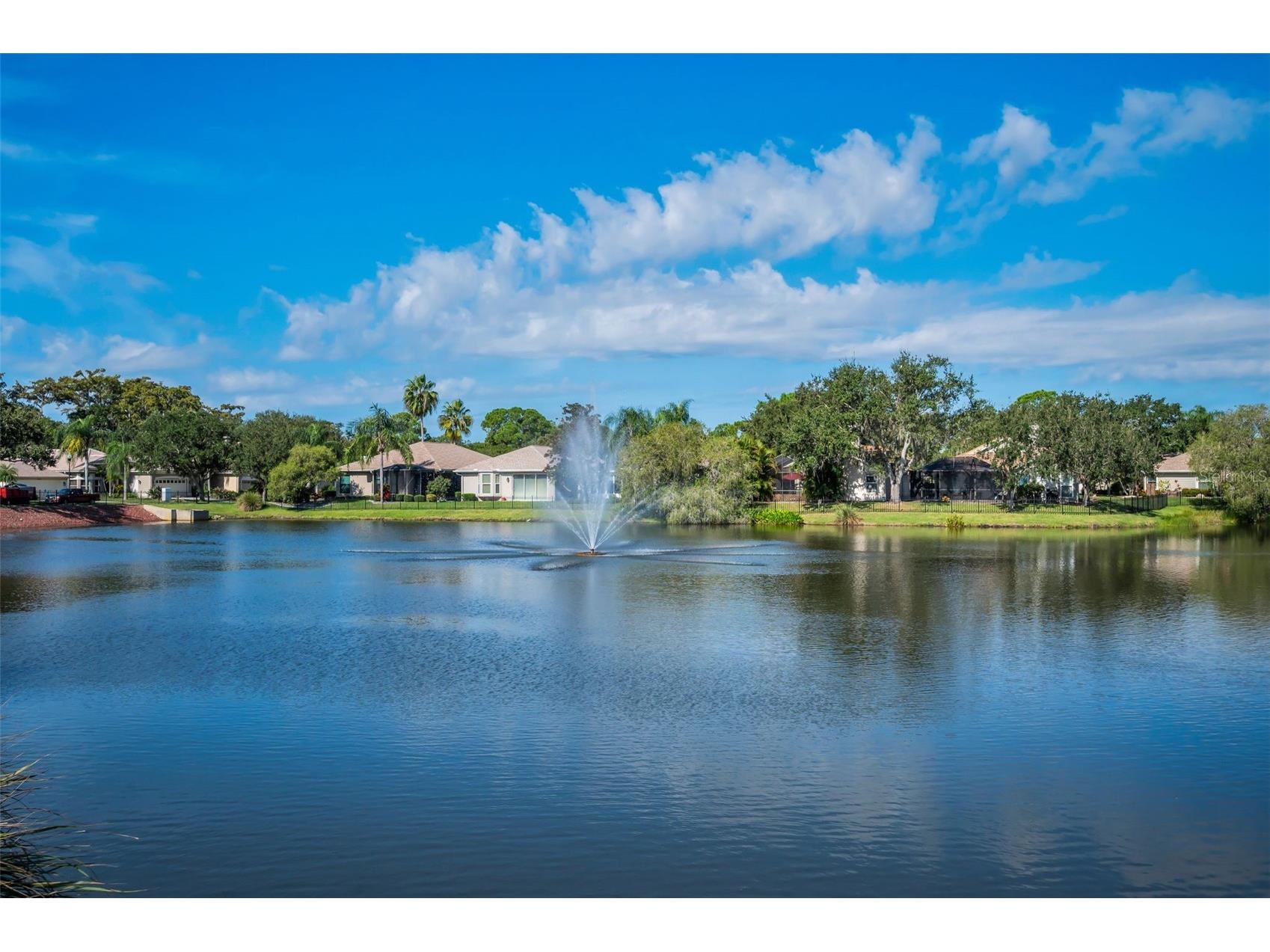1462 Woodstream Drive Oldsmar FL 34677 TB8469868 image27