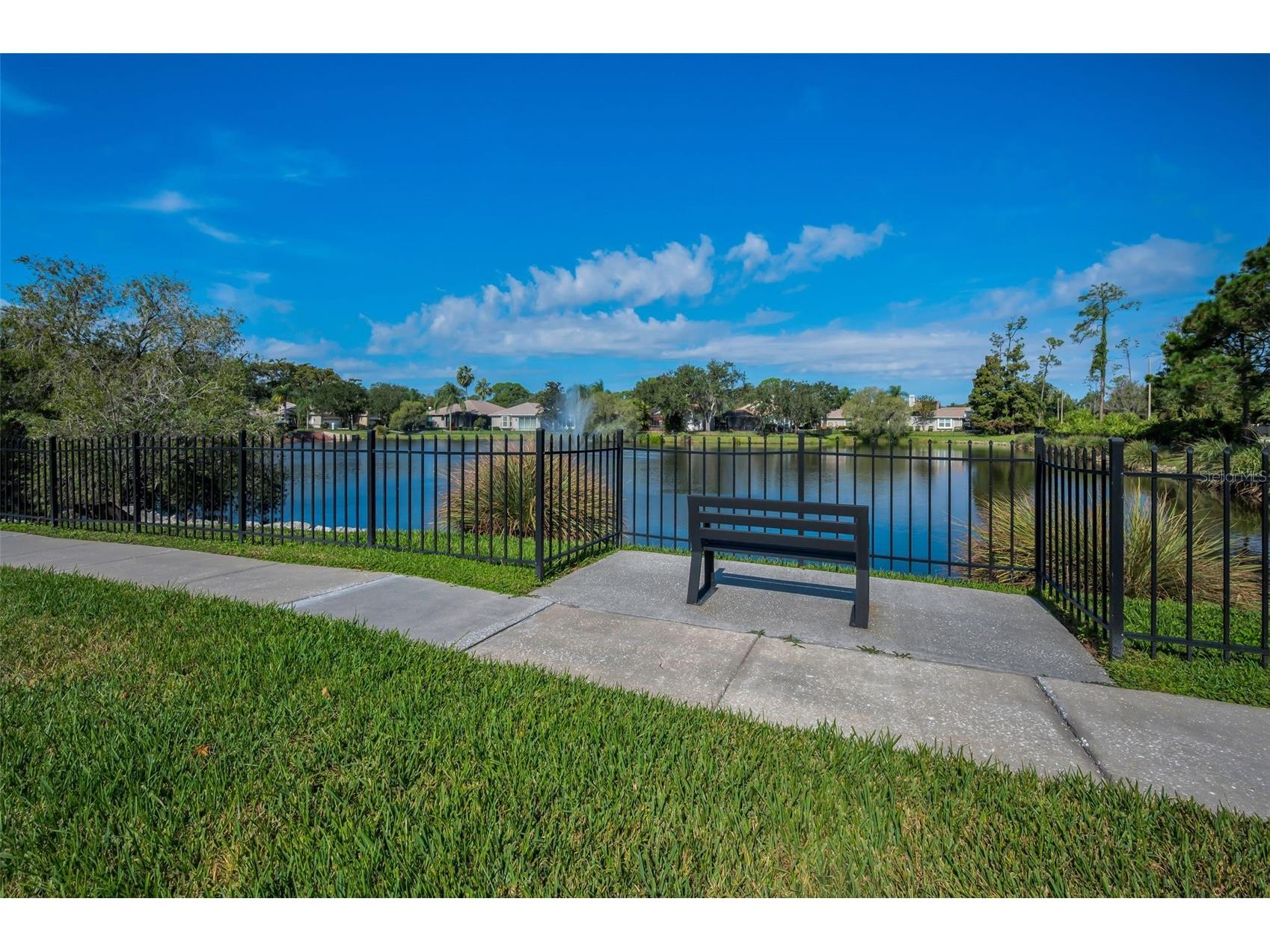1462 Woodstream Drive Oldsmar FL 34677 TB8469868 image28
