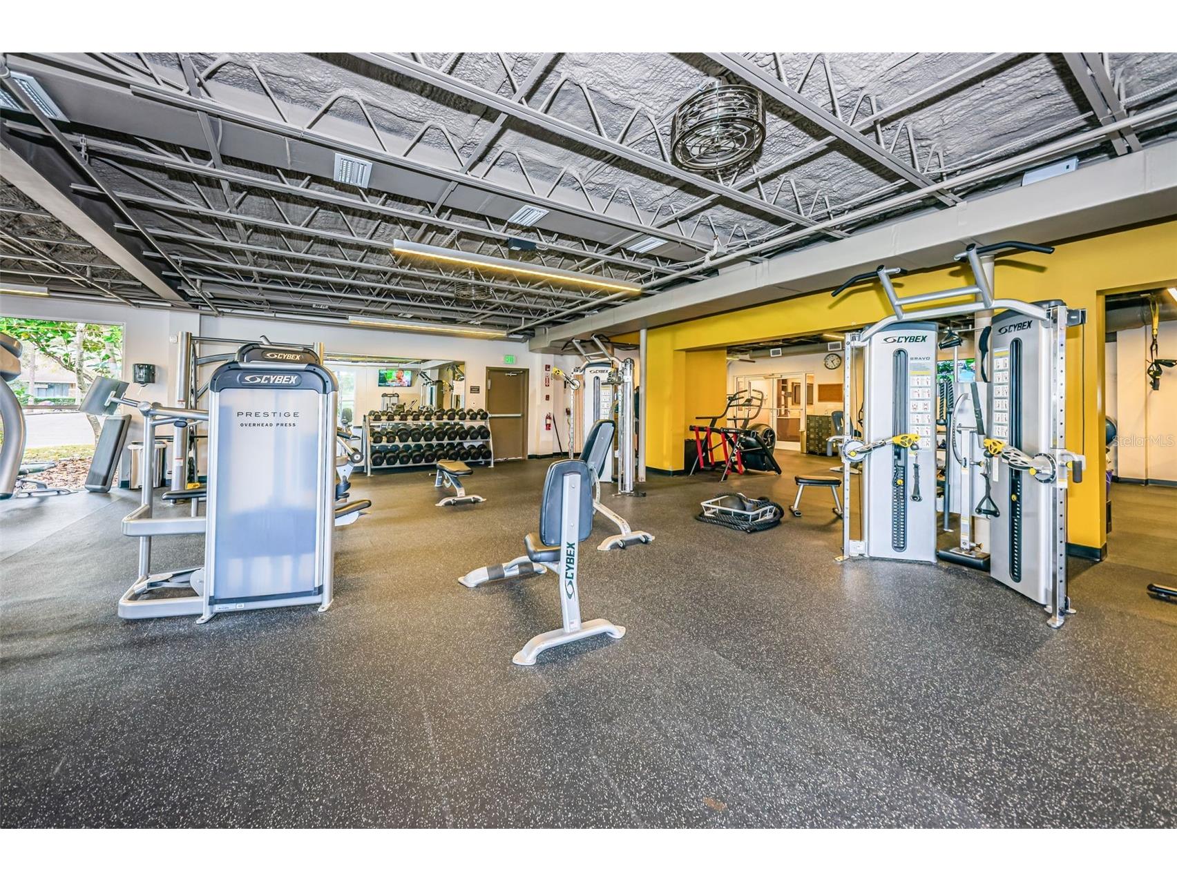 1462 Woodstream Drive Oldsmar FL 34677 TB8469868 image37