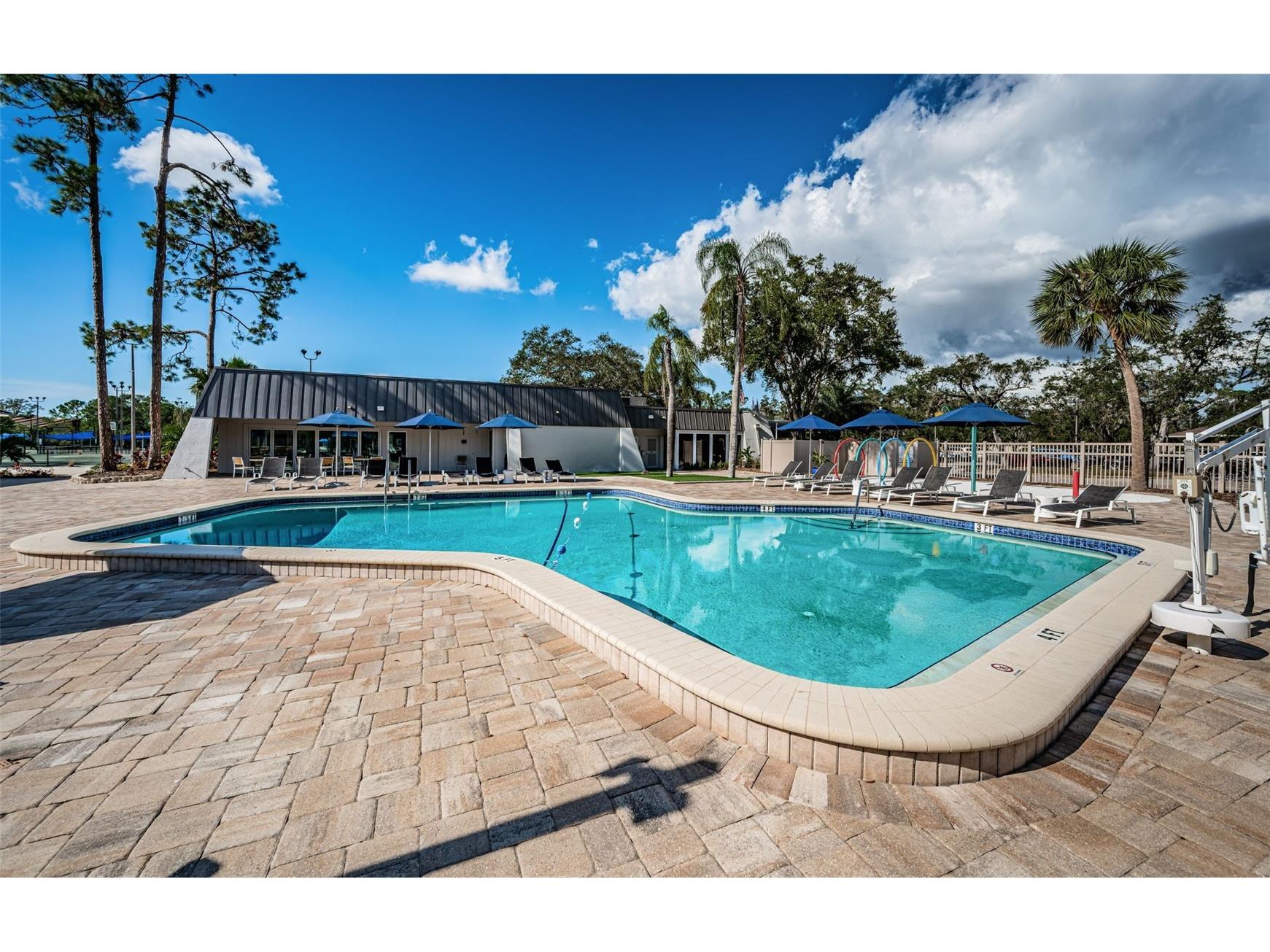 1462 Woodstream Drive Oldsmar FL 34677 TB8469868 image42
