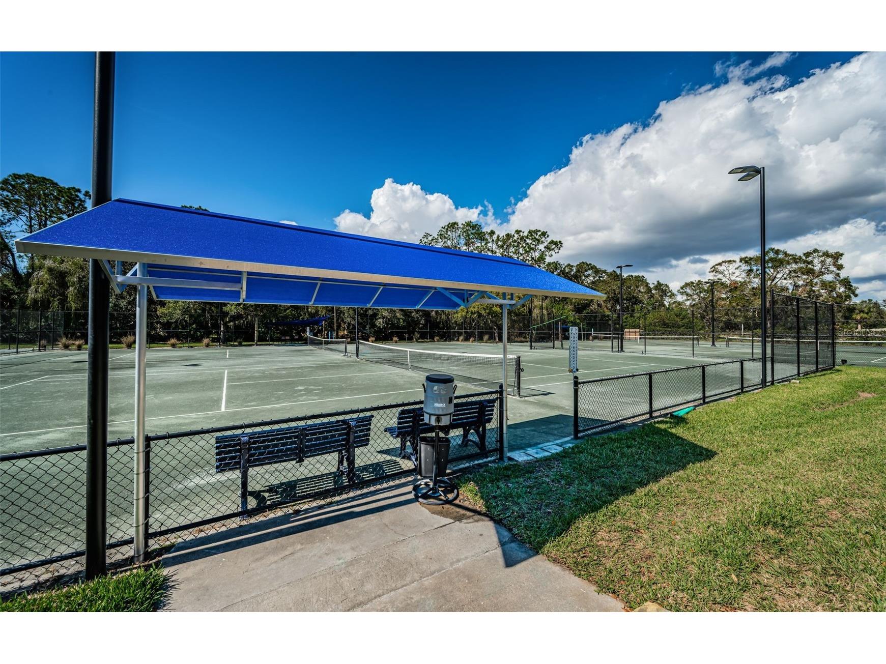 1462 Woodstream Drive Oldsmar FL 34677 TB8469868 image43