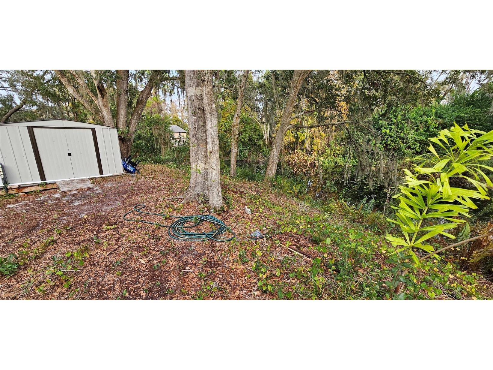 14620 Middlefield Lane Odessa FL 33556 TB8455206 image8