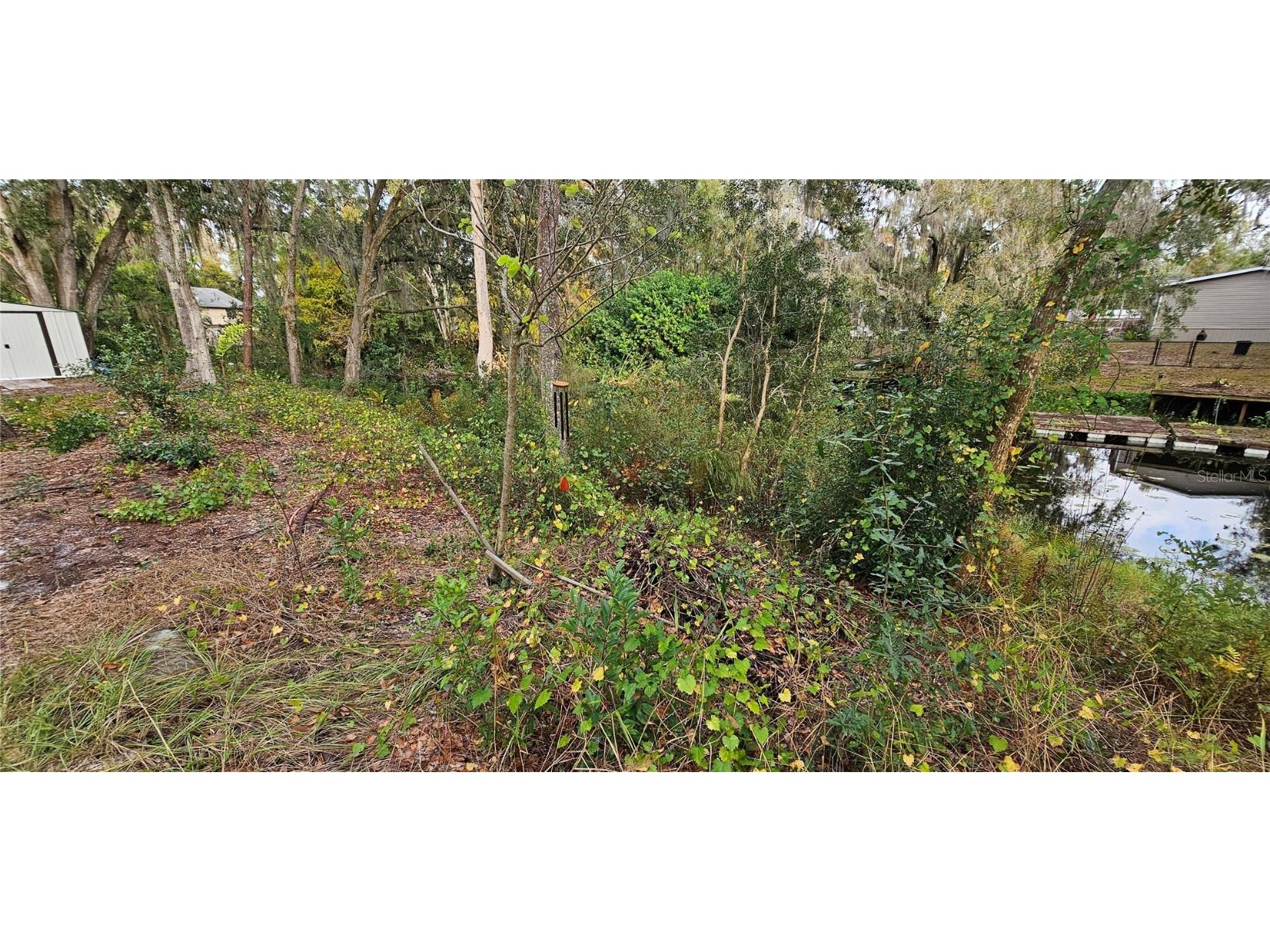 14620 Middlefield Lane Odessa FL 33556 TB8455206 image9