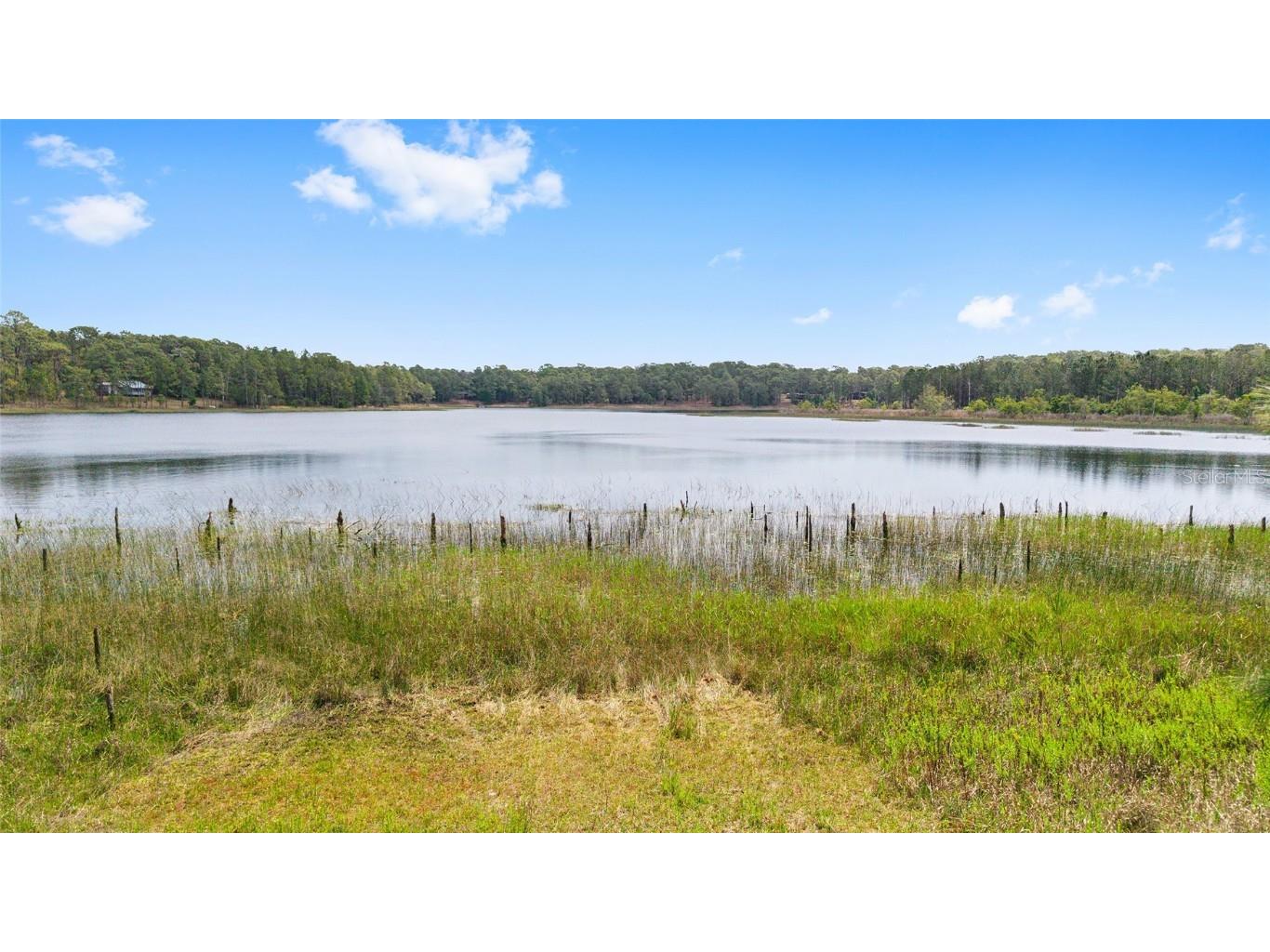 14620 SE 47th Loop Ocklawaha FL 32179 - LAKE TOMAHAWK OM700036 image1