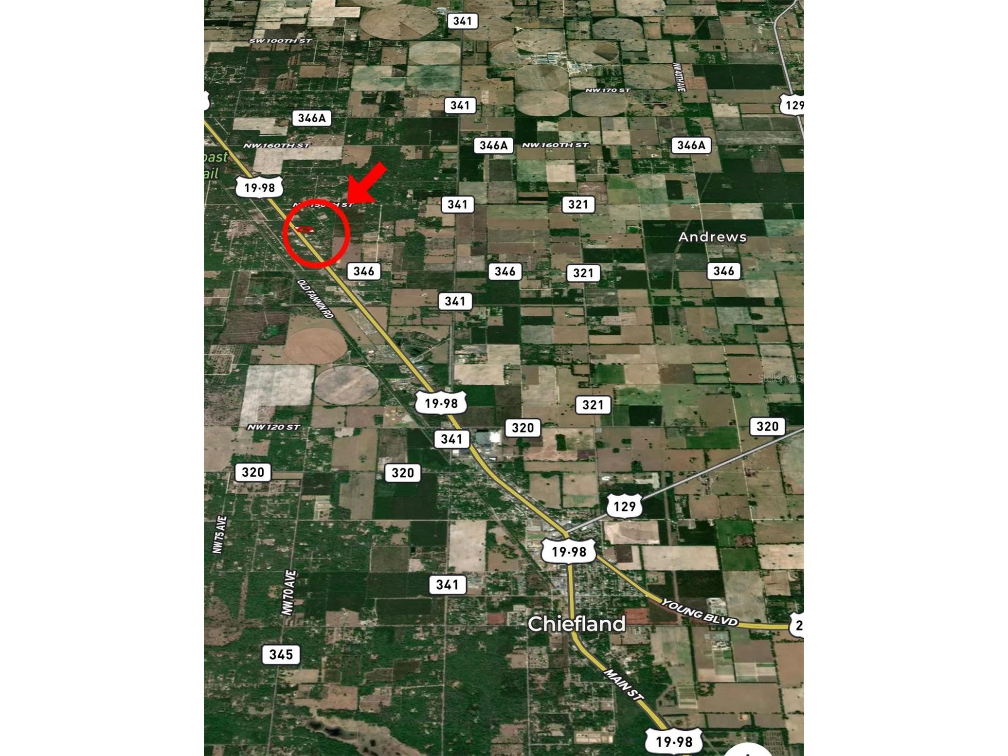 14621 NW Highway 19 Chiefland FL 32626 GC541153 image4