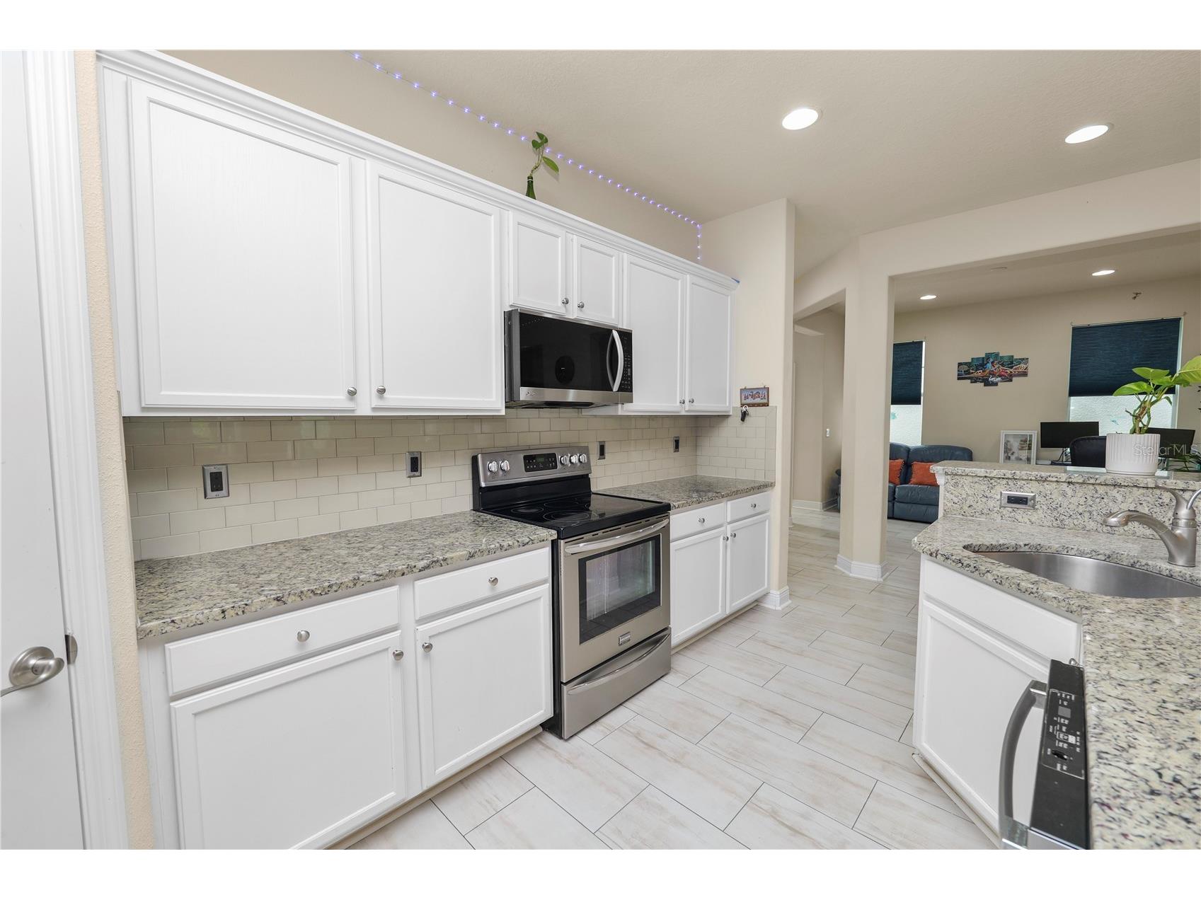 14621 Rocky Brook Drive Tampa FL 33625 L4962680 image19