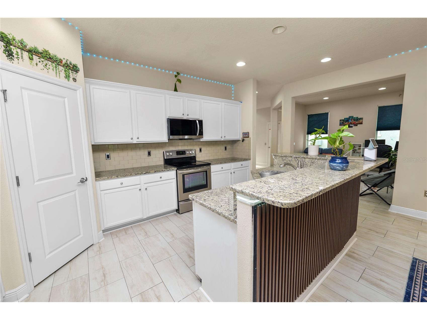 14621 Rocky Brook Drive Tampa FL 33625 L4962680 image20