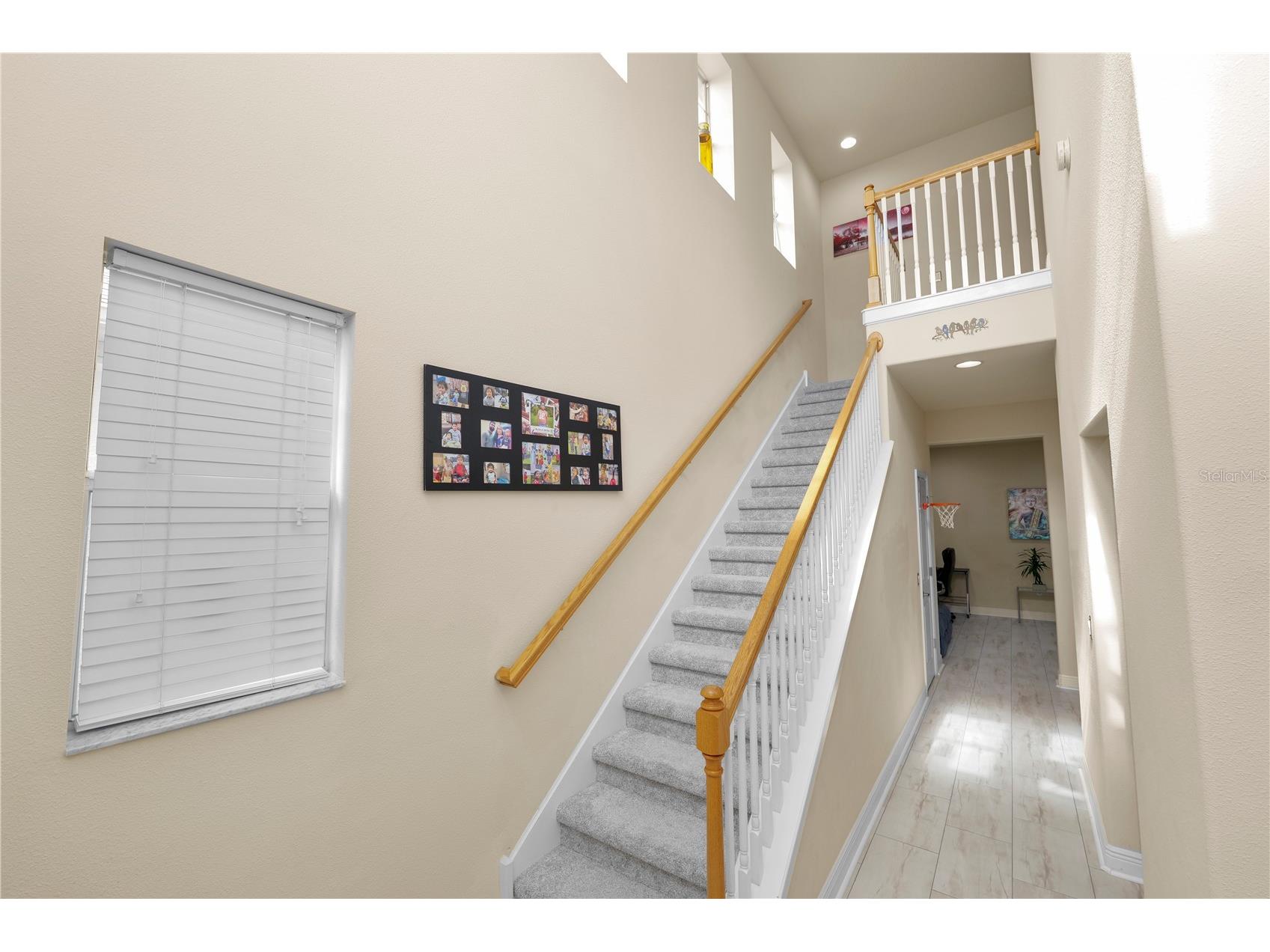 14621 Rocky Brook Drive Tampa FL 33625 L4962680 image28