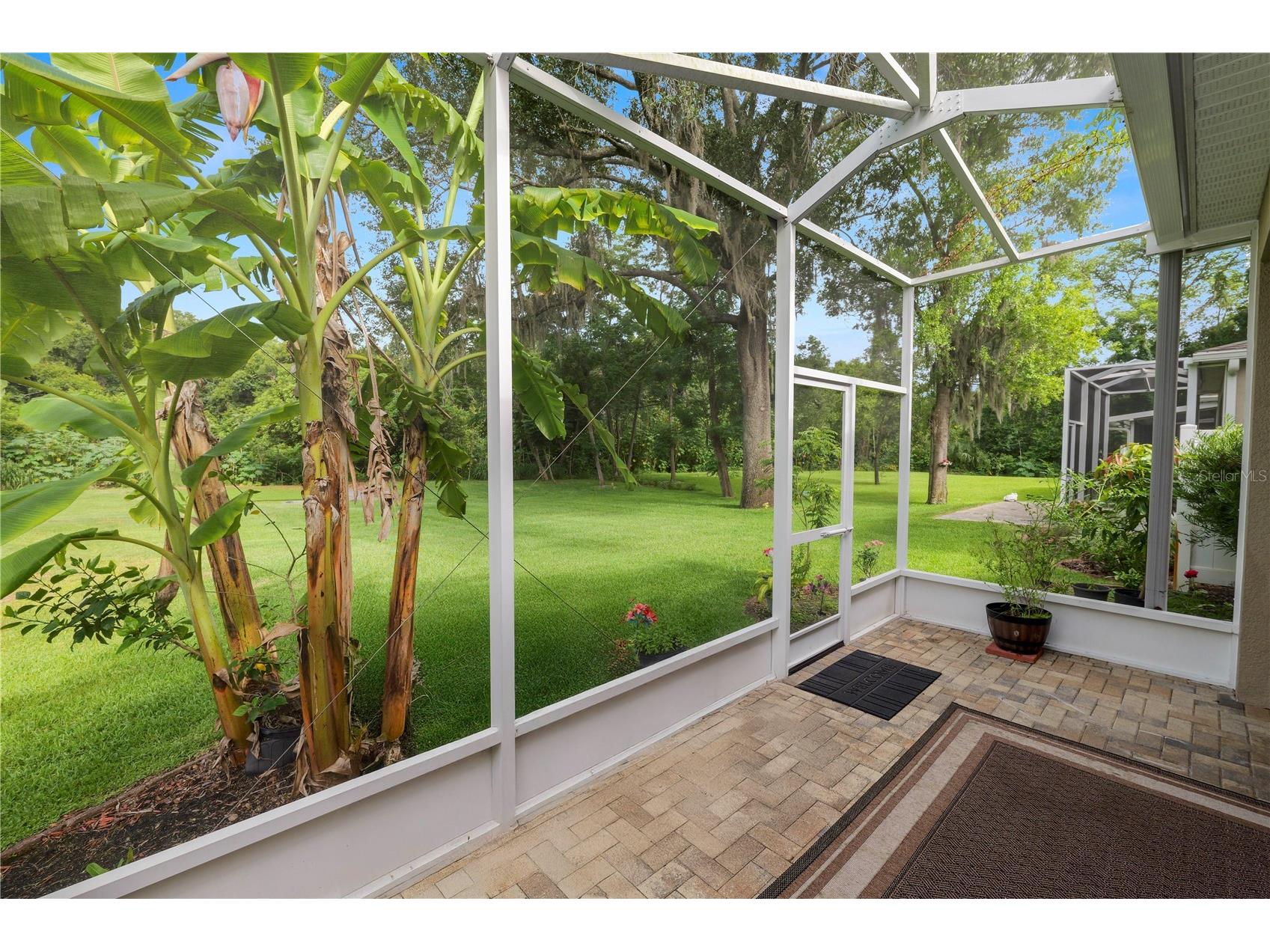 14621 Rocky Brook Drive Tampa FL 33625 L4962680 image46