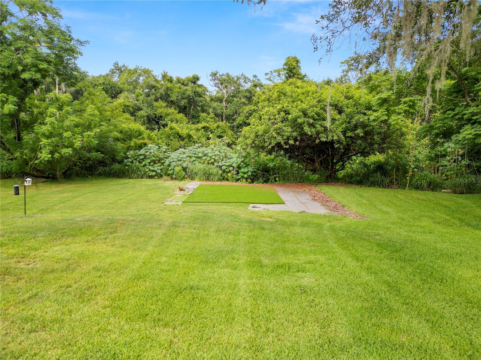 14621 Rocky Brook Drive Tampa FL 33625 L4962680 image50