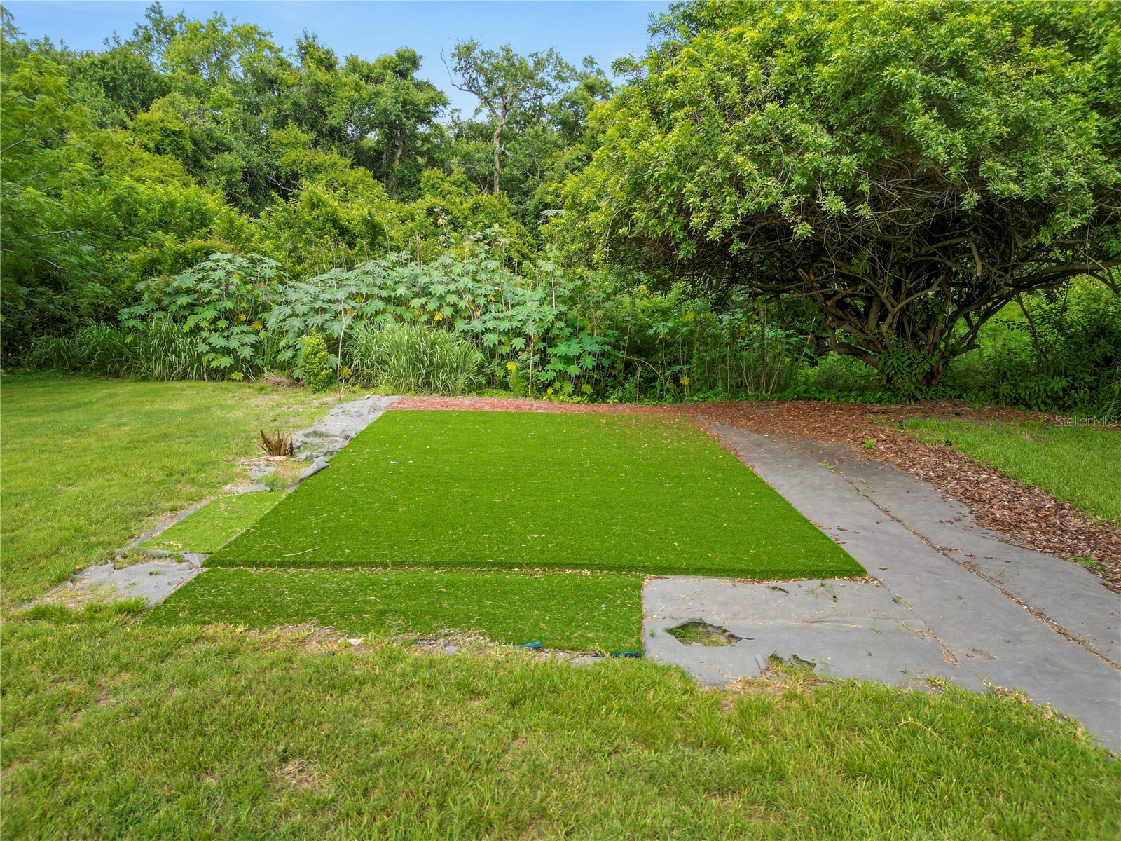 14621 Rocky Brook Drive Tampa FL 33625 L4962680 image51