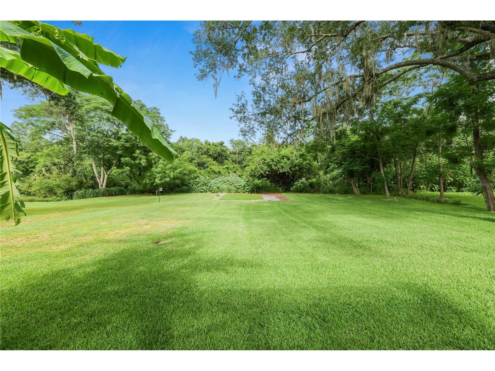 14621 Rocky Brook Drive Tampa FL 33625 L4962680 image52