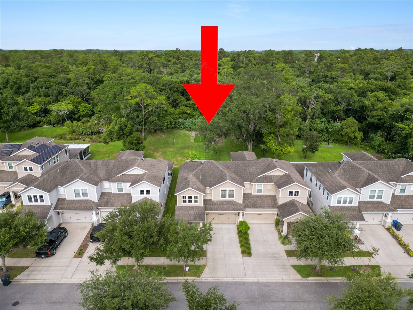 14621 Rocky Brook Drive Tampa FL 33625 L4962680 image53