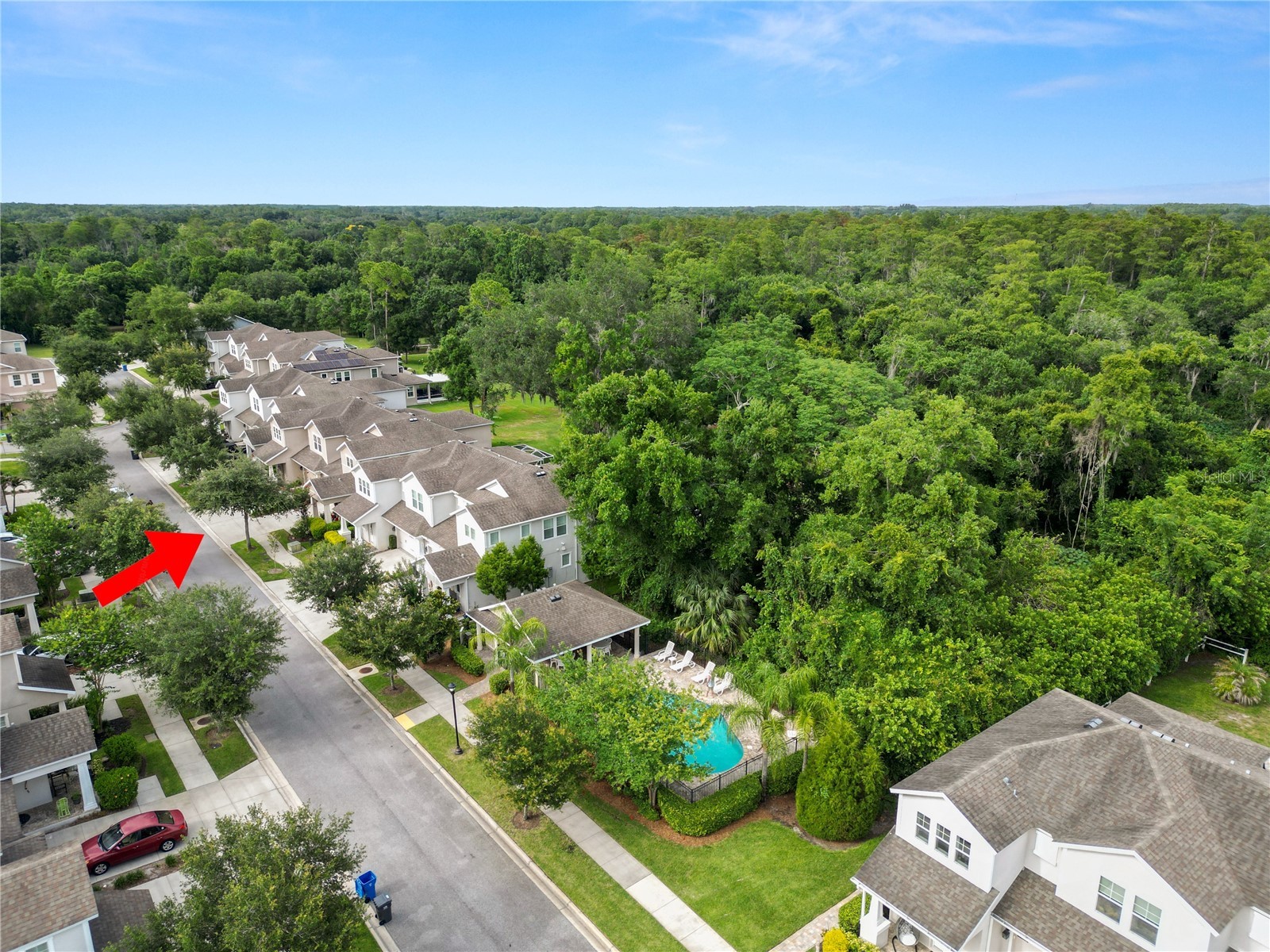 14621 Rocky Brook Drive Tampa FL 33625 L4962680 image54