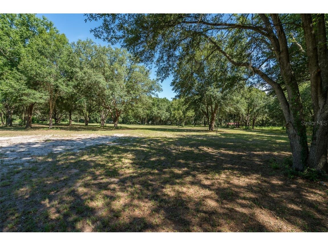 14621 Salem Church Road Dover FL 33527 T3376600 image1