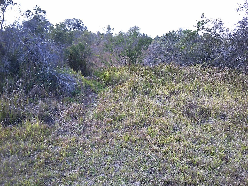 14624 NW 284th Street Okeechobee FL 34972 OK220801 image1