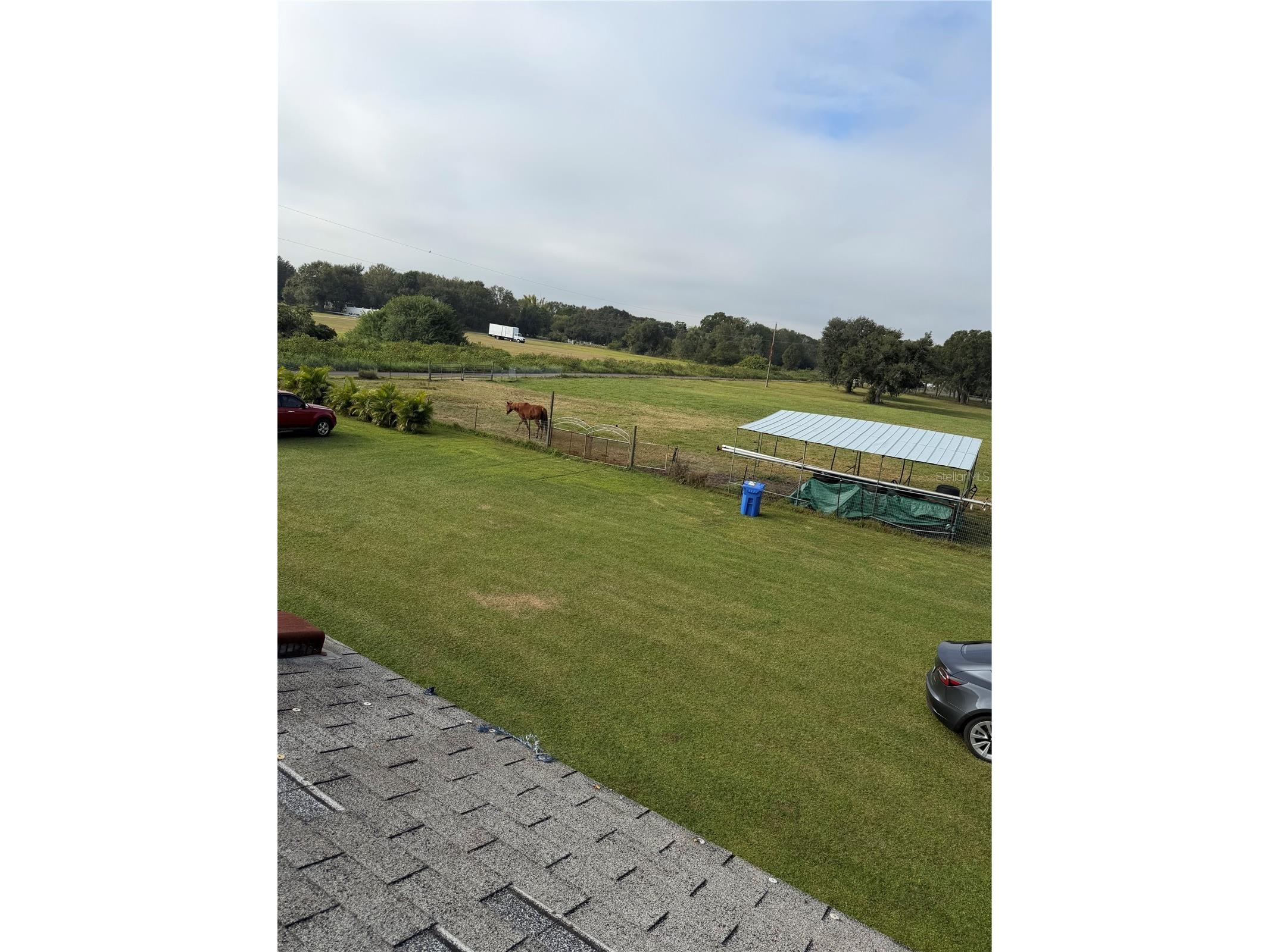 14626 Mcgrady Road Wimauma FL 33598 S5151423 image7