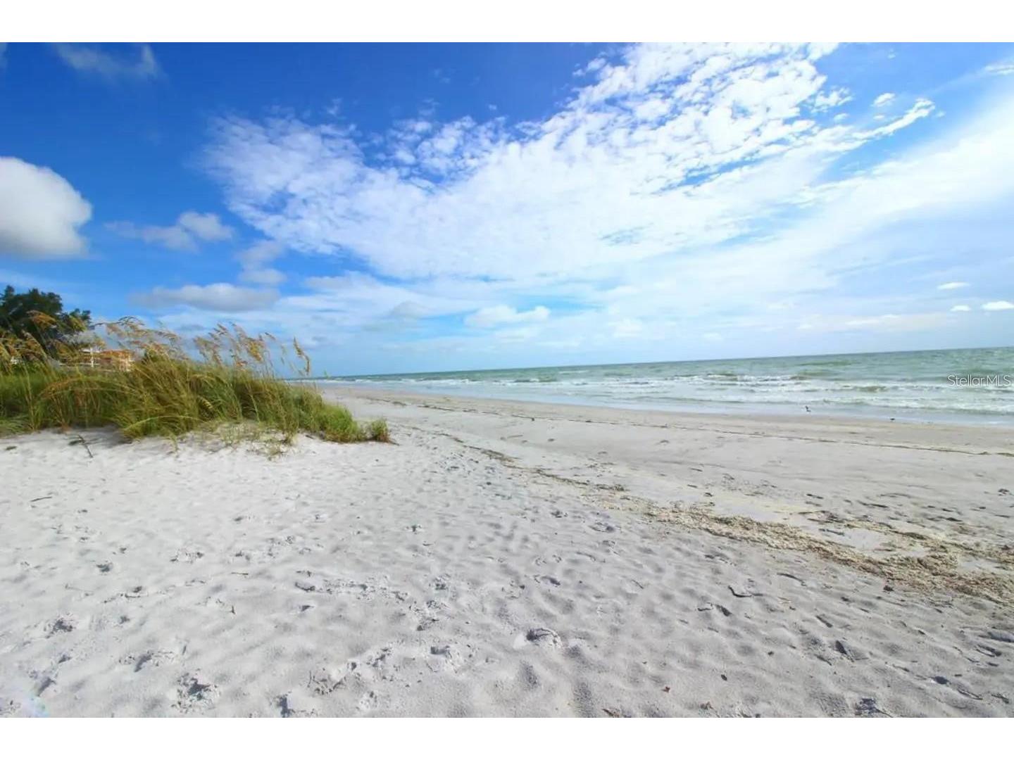 14626 Wildwood Drive Largo FL 33774 TB8508866 image31