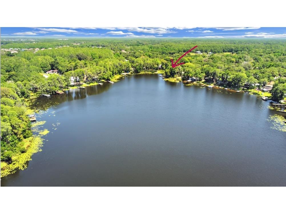 14627 Middlefield Lane Odessa FL 33556 - LAKE MINNIOLA T3487099 image1