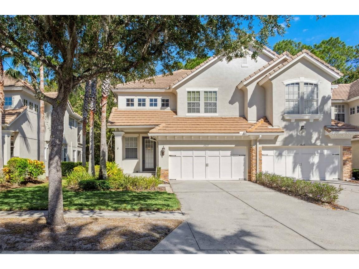 14627 Mirabelle Vista Circle Tampa FL 33626 T3483998 image1