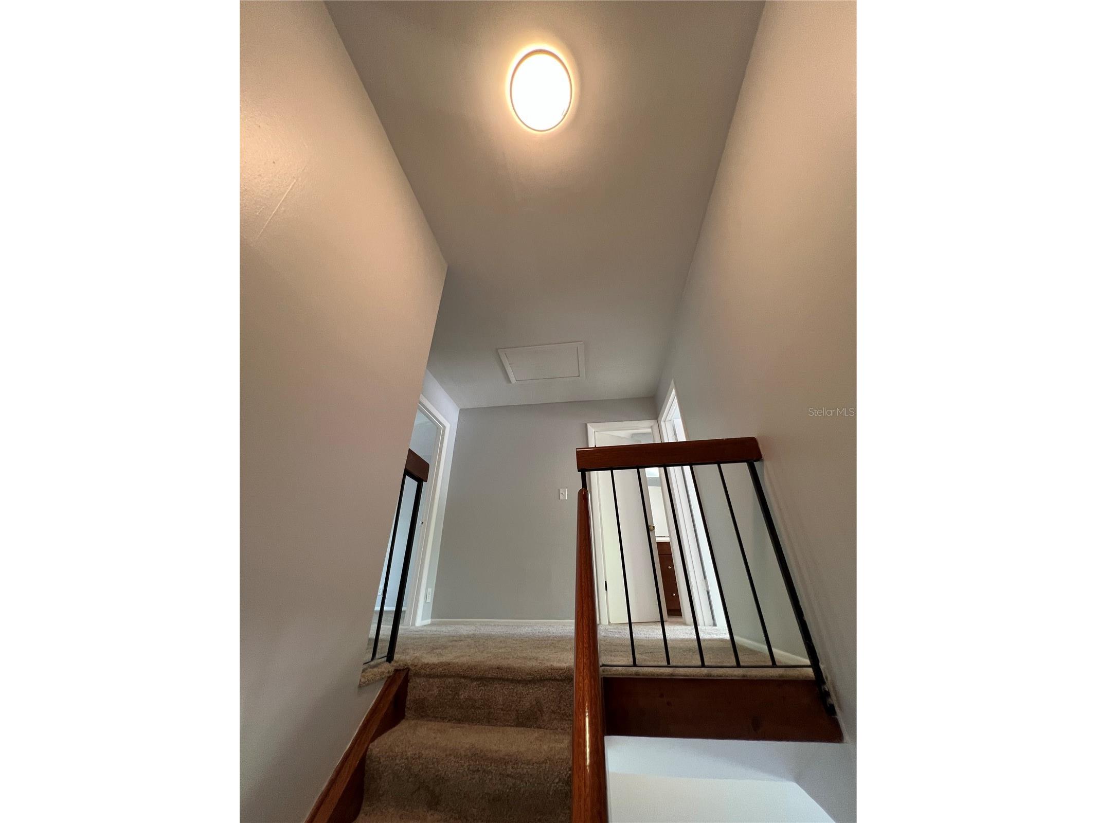 14627 Pine Glen Circle Lutz FL 33559 TB8499351 image10