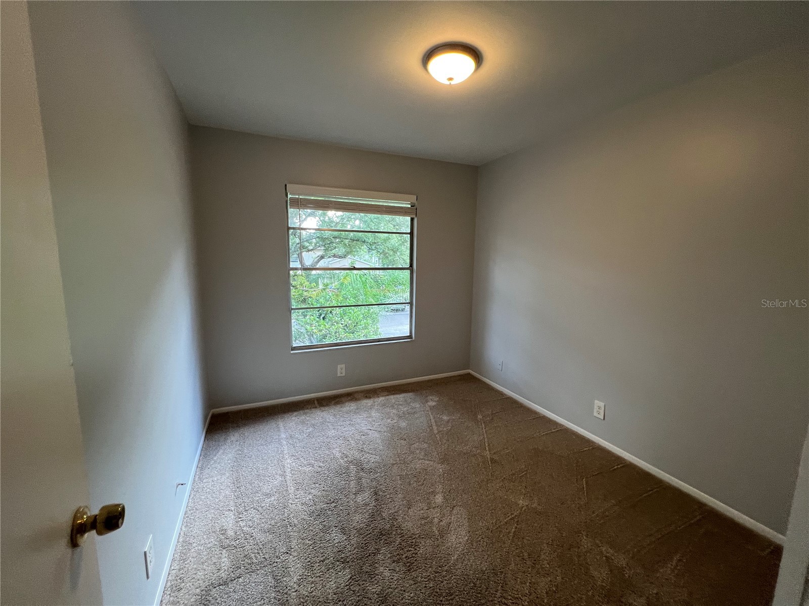14627 Pine Glen Circle Lutz FL 33559 TB8499351 image14