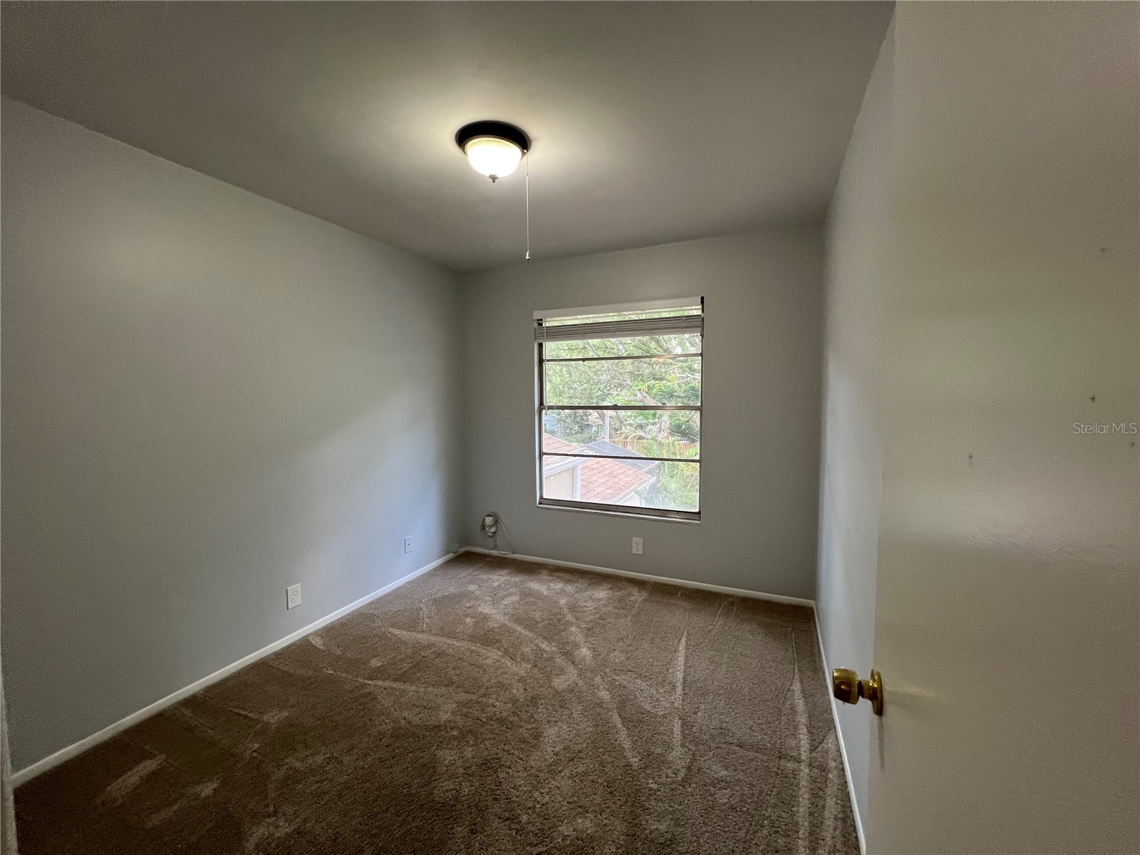 14627 Pine Glen Circle Lutz FL 33559 TB8499351 image15