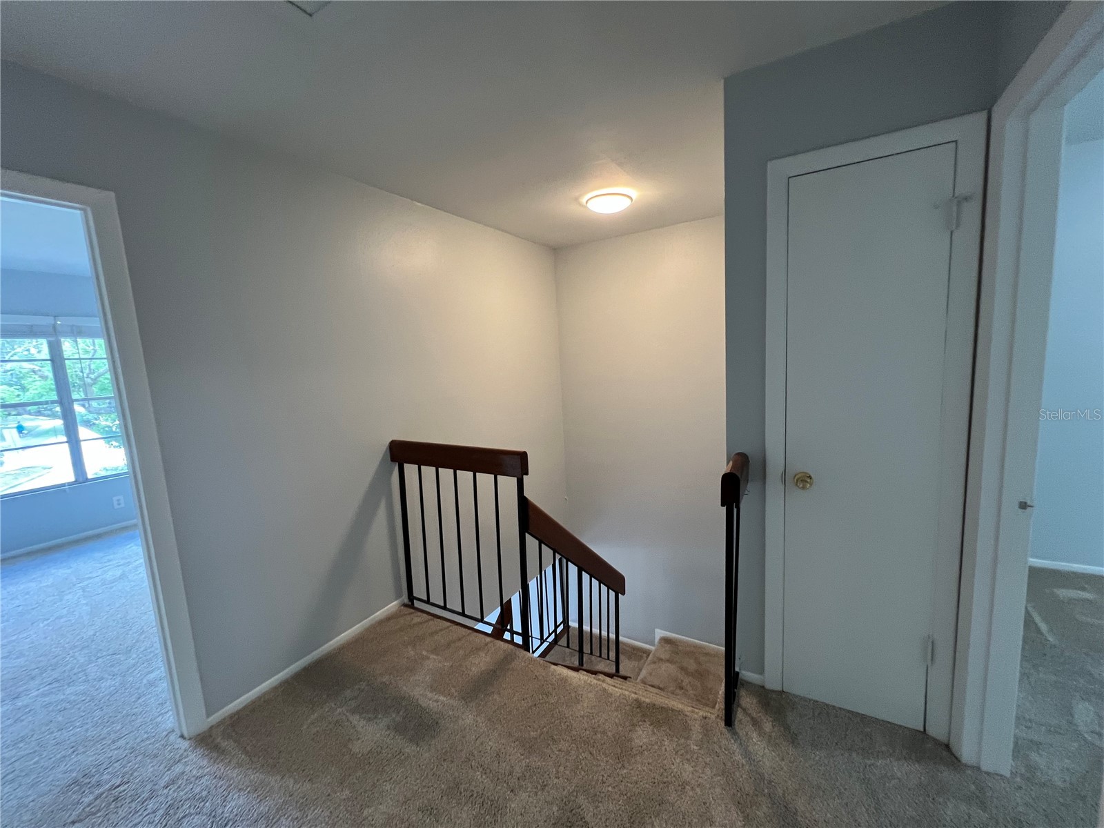 14627 Pine Glen Circle Lutz FL 33559 TB8499351 image16