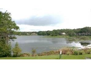 14627 Pine Glen Circle Lutz FL 33559 TB8499351 image24