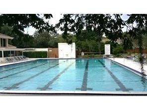 14627 Pine Glen Circle Lutz FL 33559 TB8499351 image28