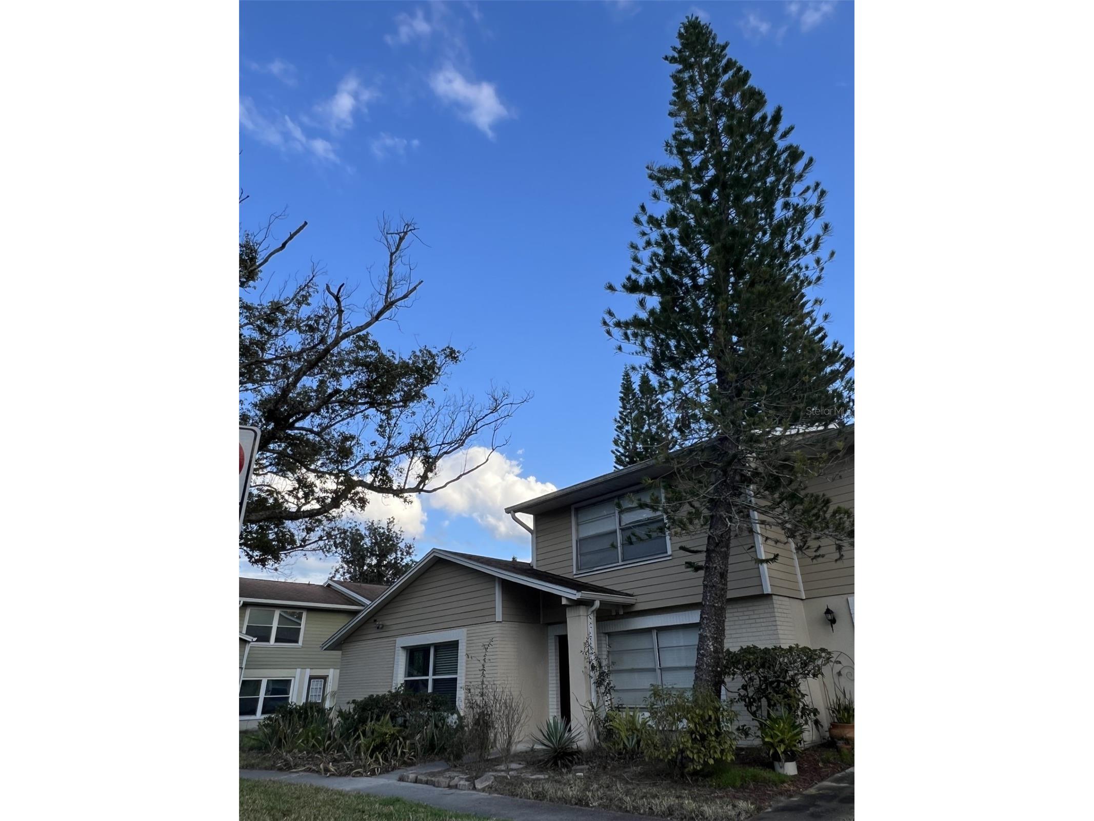 14627 Pine Glen Circle Lutz FL 33559 TB8499351 image30