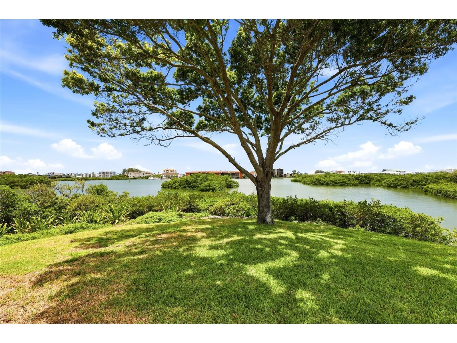 14628 Loridawn Drive #13 Seminole FL 33776 - BOCA CIEGA TB8509918 image5