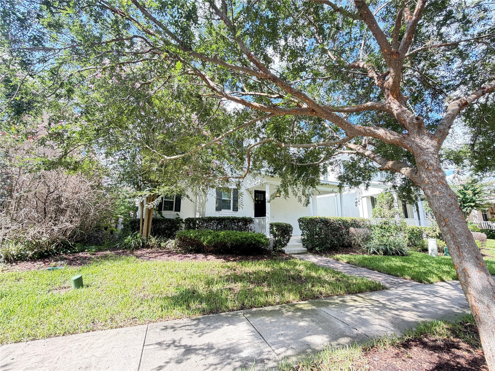 14629 Bahama Swallow Boulevard Winter Garden FL 34787 O6421797 image3