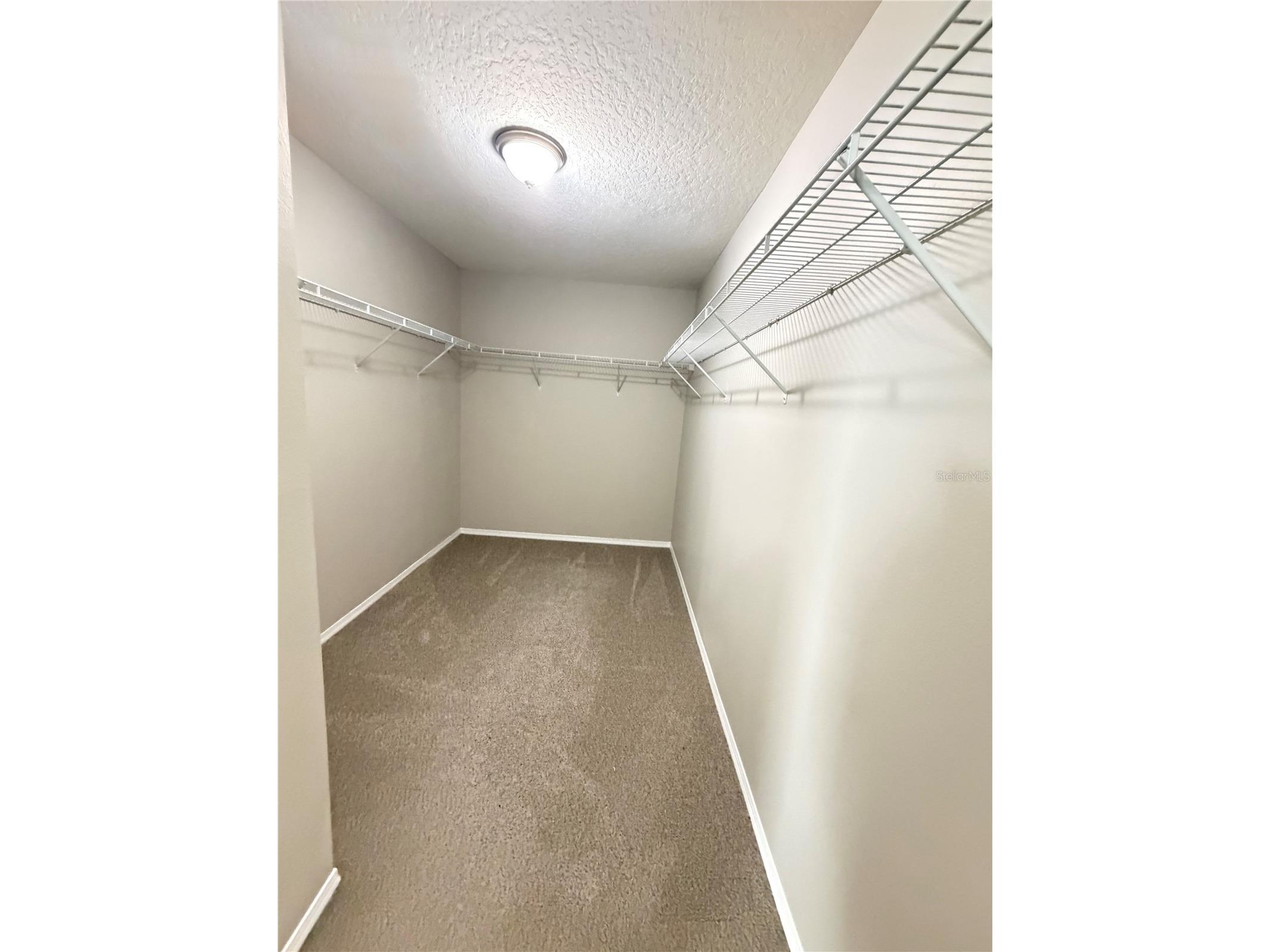14629 Bahama Swallow Boulevard Winter Garden FL 34787 O6421797 image7